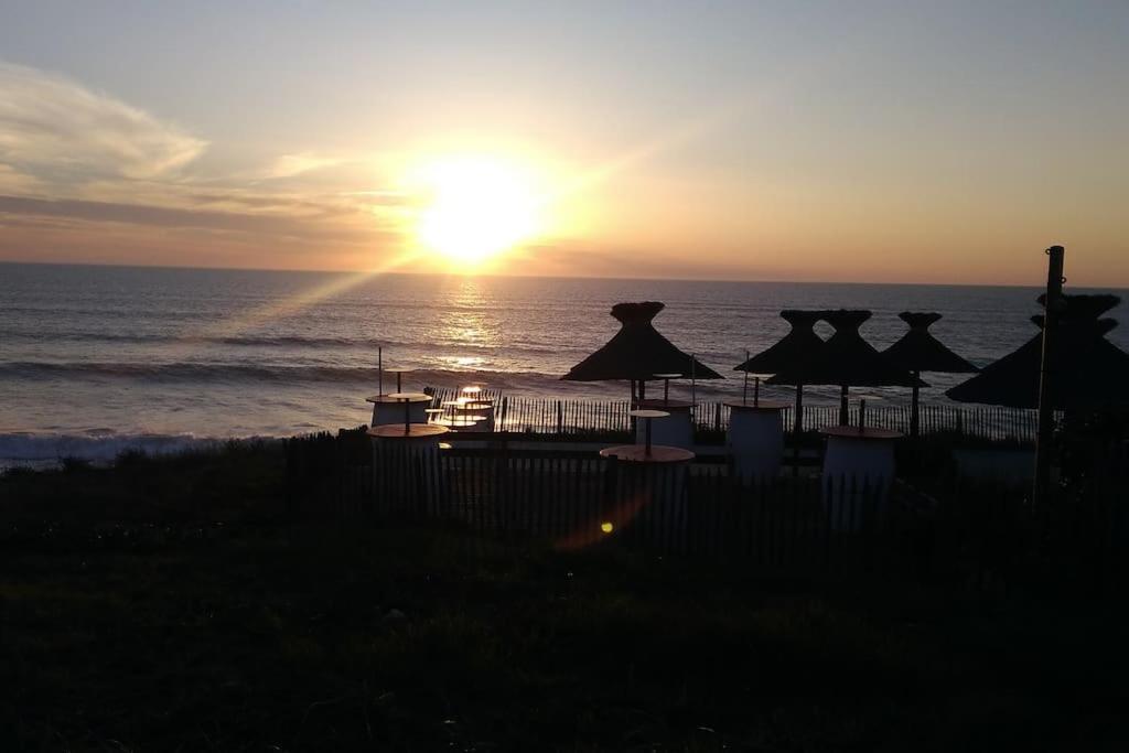 Appart' Dans Les Pins, Ocean, Lac, Piscine * Lacanau