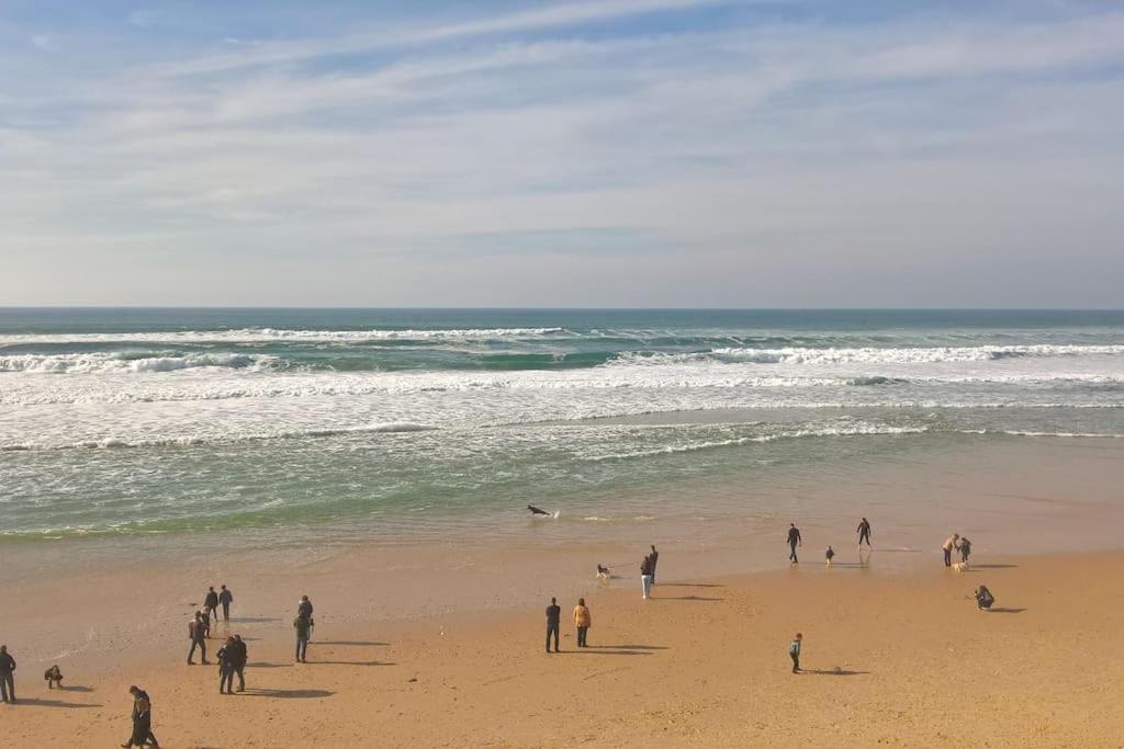Appart' Dans Les Pins, Ocean, Lac, Piscine