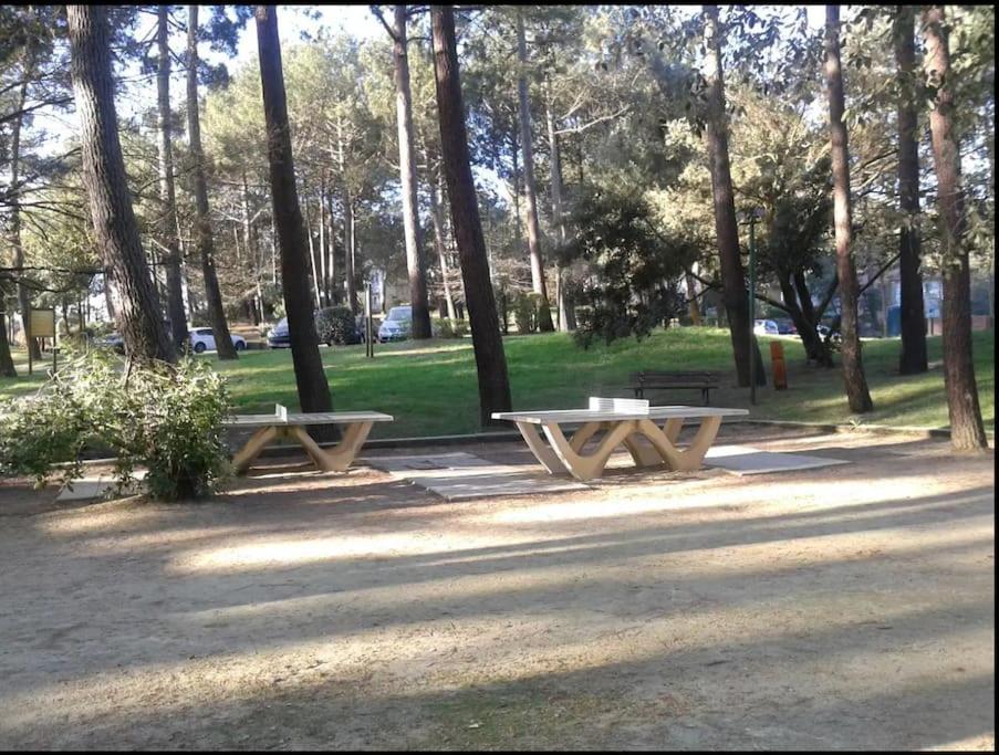 Appartamento Appart' Dans Les Pins, Ocean, Lac, Piscine *